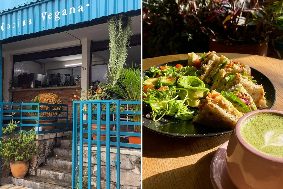Fachada azul con plantas de Choclo y Maíz, junto a un sándwich con vegetales y una bebida verde.