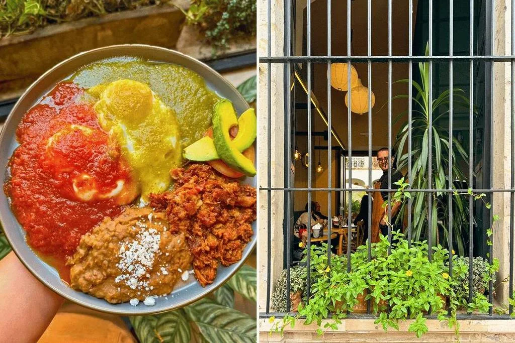 Collage de desayuno y ventana con plantas de El Particular Cocina Local.