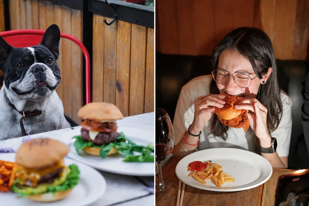 Collage de Gaspar: perro blanco y negro junto a hamburguesas y una comensal con lentes redondos.